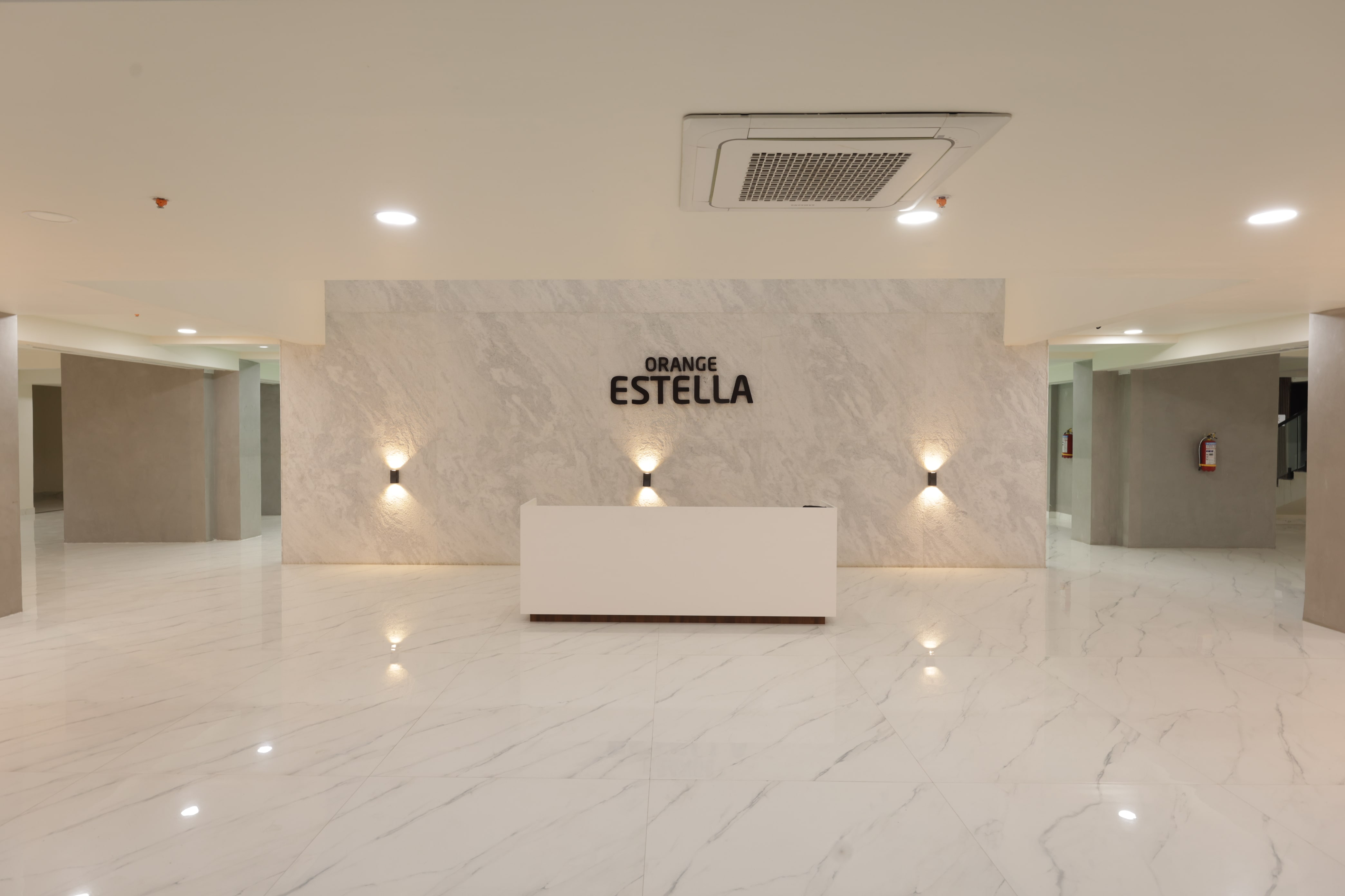 Orange Estella - Image 3