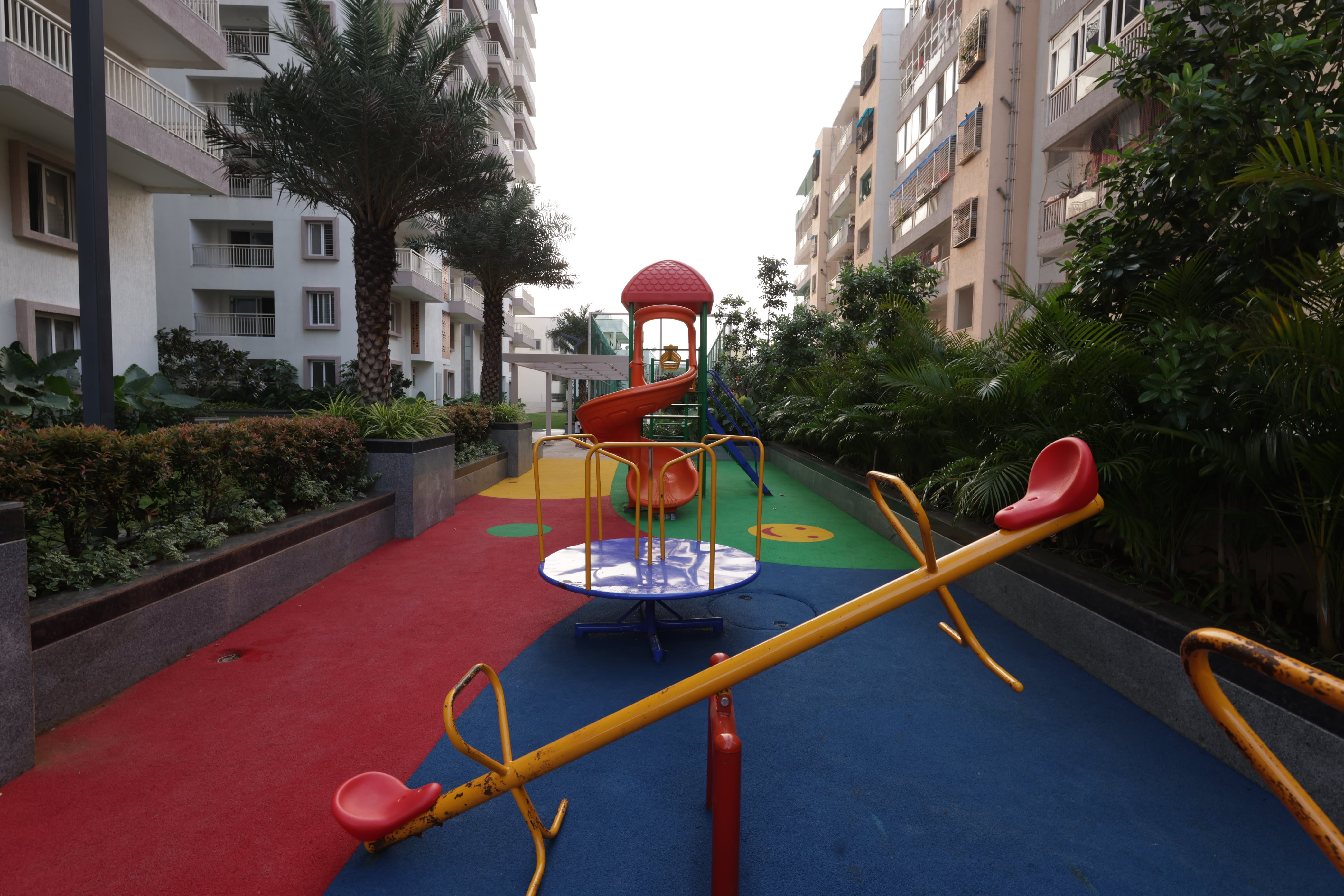 Orange Estella - Image 5